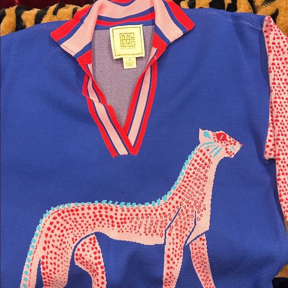 Blue & Pink V-Neck Sweater with Graphic Cheetah - Femme